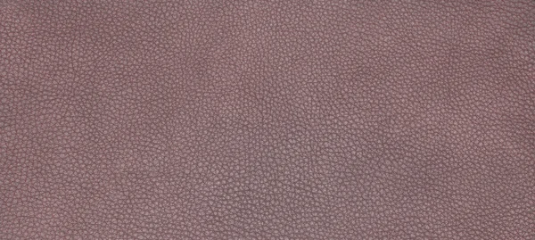 Leather brown texture — Stock Photo, Image