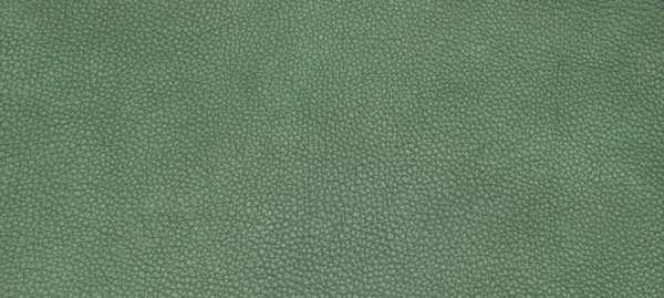 绿色皮革纹理 — 图库照片