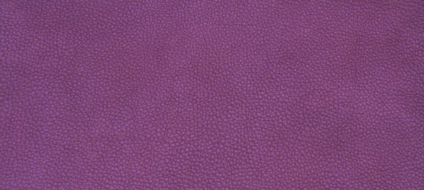 Textura roxa couro — Fotografia de Stock