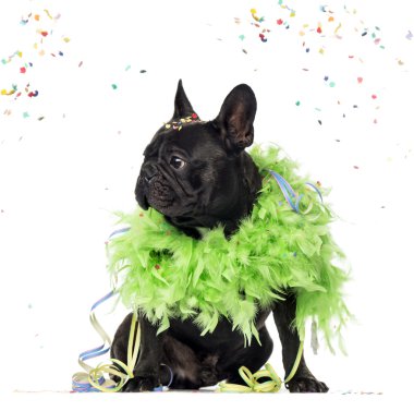 Fransız buldozer parti, üzerinde beyaz izole