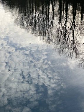 Gökyüzü, bulutlar, kuşlar ve ağaçlar bir kış günü durgun suda yansıyor