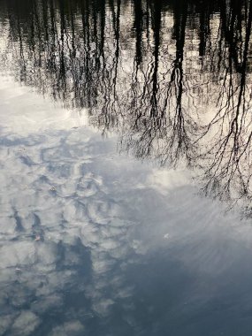 Gökyüzü, bulutlar, kuşlar ve ağaçlar bir kış günü durgun suda yansıyor