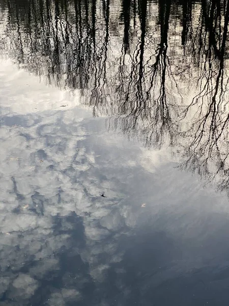 sky, clouds, birds and trees reflection on still water during a winter day