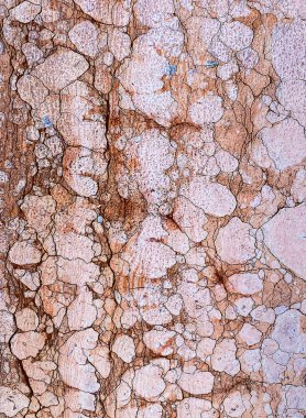 Eski dokulu Red Verona mermer yüzeyi, Venedik, İtalya