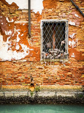 Venedik 'te kırmızı tuğlalı bir evin penceresine yerleştirilmiş.