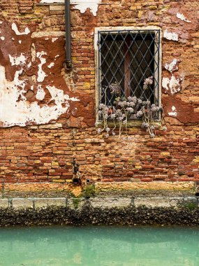 Venedik 'te kırmızı tuğlalı bir evin penceresine yerleştirilmiş.