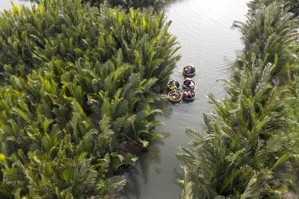 Vista Aérea Turistas Botes Canasta Tour Bosque Agua Coco Palma —  Fotos de Stock