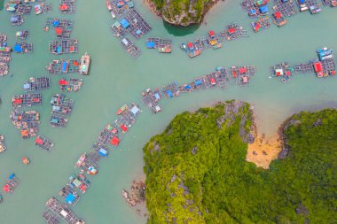 Lan Ha Körfezi, Vietnam 'da yüzen balıkçı köyünün havadan görünüşü. UNESCO Dünya Mirası Alanı. Ha Long Körfezi yakınlarında.