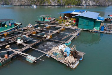 Cat Ba, Vietnam, 1 Ocak 2020, Vietnamlı balık çiftçisi, yüzen evinde, Lan Ha Körfezi 'nde 