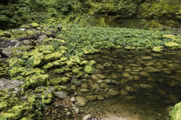 Stilles Wasser Und Moosbewachsene Steine Nans Sous Sainte Anne Grubenhöhle — Stockfoto