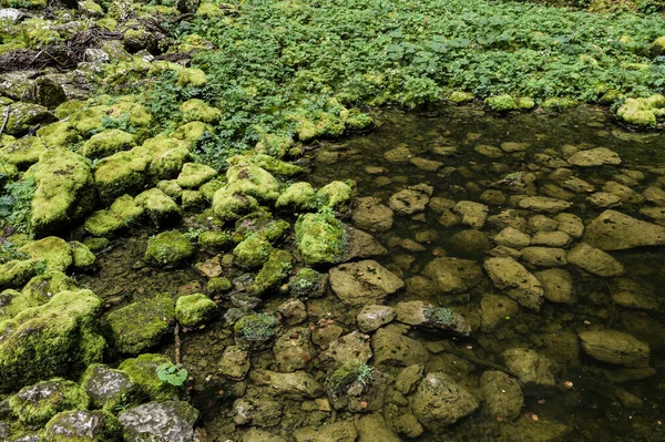 Still Water Stones Covered Moss Nans Sous Sainte Anne Pit — Stock Photo, Image