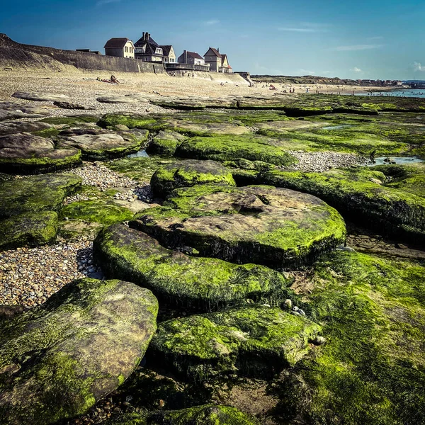 Pedras Cobertas Por Algas Verdes Casas Tradicionais Praia Audresselles Cap — Fotografia de Stock