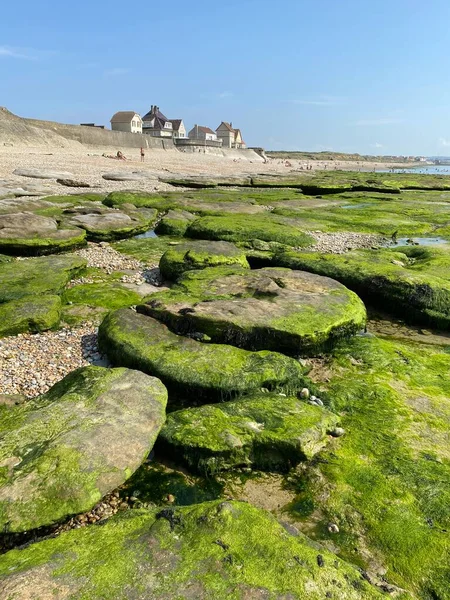 Piedras Cubiertas Algas Verdes Casas Tradicionales Playa Audresselles Cap Gris — Foto de Stock