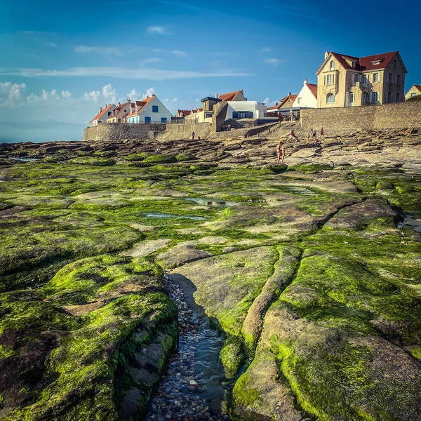 Piedras Cubiertas Algas Verdes Casas Tradicionales Playa Audresselles Cap Gris —  Fotos de Stock