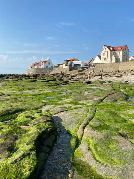 Kameny Pokryté Zelenými Řasami Tradičními Domy Pláži Audresselles Cap Gris — Stock fotografie