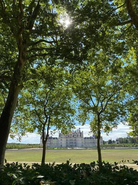 Vista Através Árvores Folhagem Chateau Chambord Vale Loire Património Mundial — Fotografia de Stock