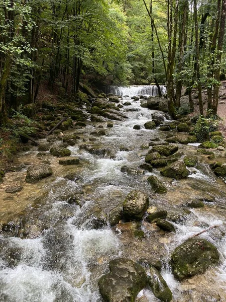 Herisson河 朱拉河的夏景 — 图库照片