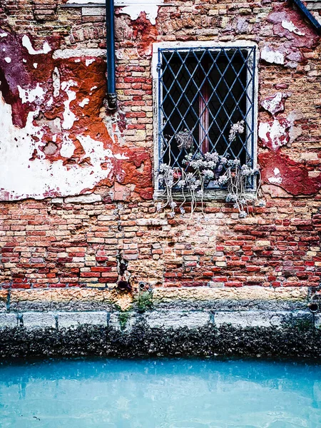 Plante Uma Janela Uma Casa Frente Tijolos Vermelhos Veneza — Fotografia de Stock