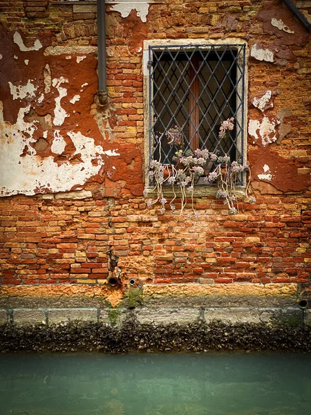 Plante Uma Janela Uma Casa Frente Tijolos Vermelhos Veneza — Fotografia de Stock