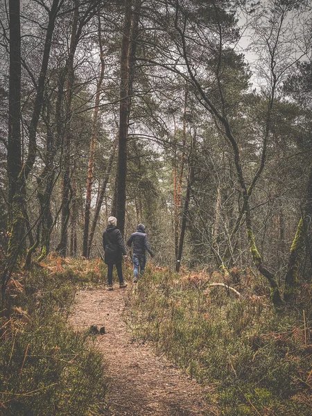 Duas Pessoas Caminhando Floresta Virton Seguindo Caminho Das Fadas Luxemburgo — Fotografia de Stock