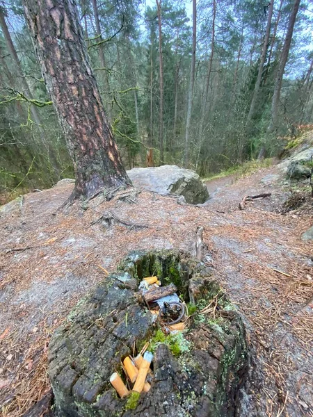 Poluição Cigarro Floresta Virton Luxemburgo Bélgica Perto Caminho Das Fadas — Fotografia de Stock