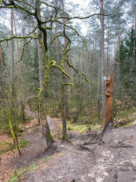 Wooden Sculpture Fairy Edge Fairy Path Virton Luxembourg Belgium — Stock Photo, Image