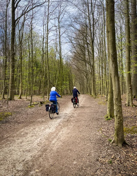 Két Idős Kaukázusi Férfi Biciklizik Sonian Forest Ben Közel Brüsszel — Stock Fotó