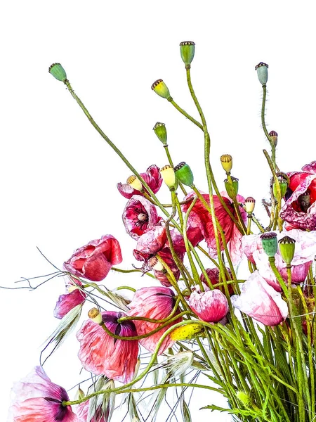 Gemengde Wilde Bloemen Boeket Grassen Klaprozen Een Glazen Vaas — Stockfoto