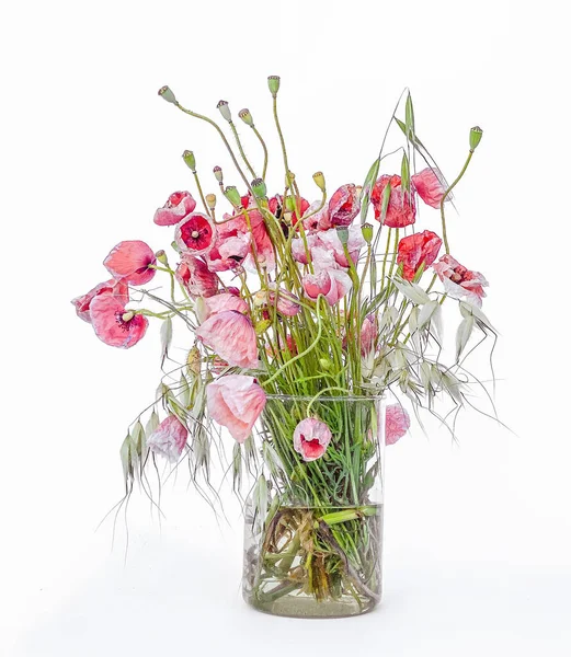 Mixed Wild Flowers Bouquet Grasses Poppies Glass Vase — Stock Photo, Image