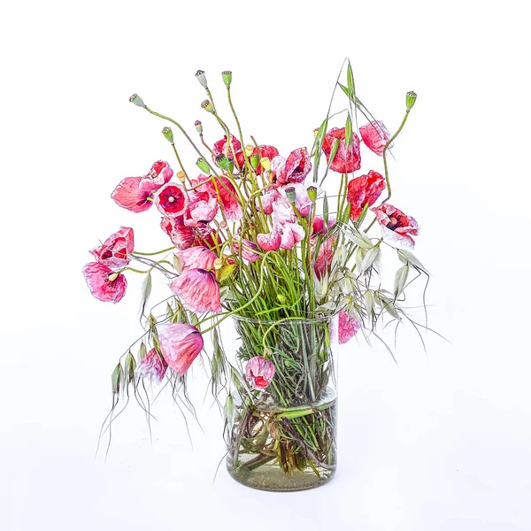 Mixed Wild Flowers Bouquet Grasses Poppies Glass Vase — 스톡 사진