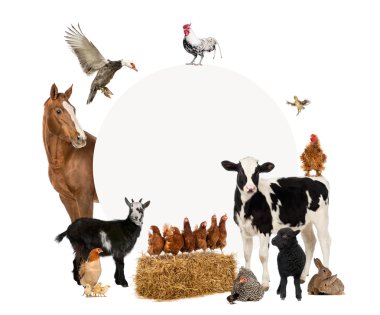 Group of farm animals surrounding a blank sign clipart