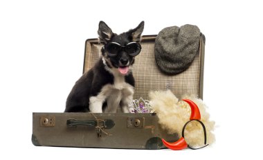 Bir eski vintage çanta accesso tam oturan kenar kömür ocağı