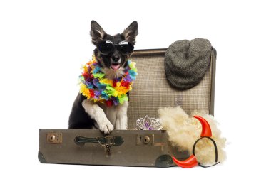 Bir eski vintage çanta accesso tam oturan kenar kömür ocağı