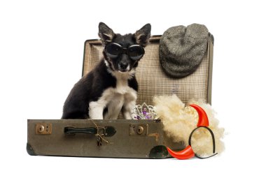 Bir eski vintage çanta accesso tam oturan kenar kömür ocağı