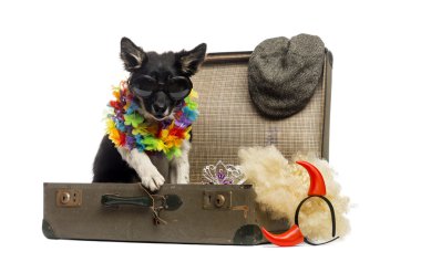 Bir eski vintage çanta accesso tam oturan kenar kömür ocağı