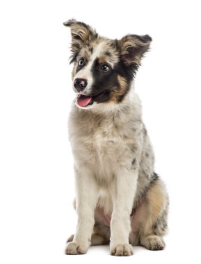 kenar kömür ocağı