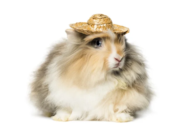 Rabbit wearing a straw hat — Stock Photo, Image