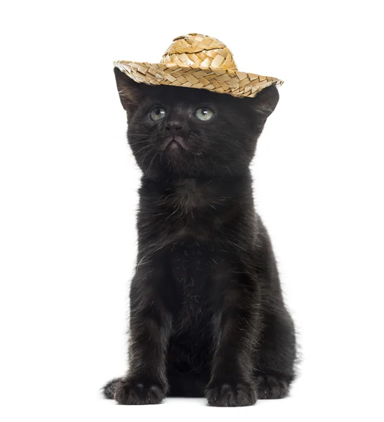 흰색 배경 앞 밀 짚 모자를 쓰고 검은 고양이 — 스톡 사진