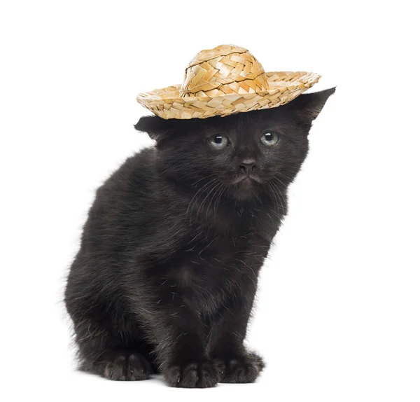 Chaton noir portant un chapeau de paille devant un fond blanc — Photo