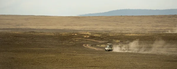 Safari jeeps crossing Serengeti, Tanzania, Africa — Stock Photo, Image