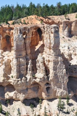Bryce Canyon Ulusal Parkı, Utah