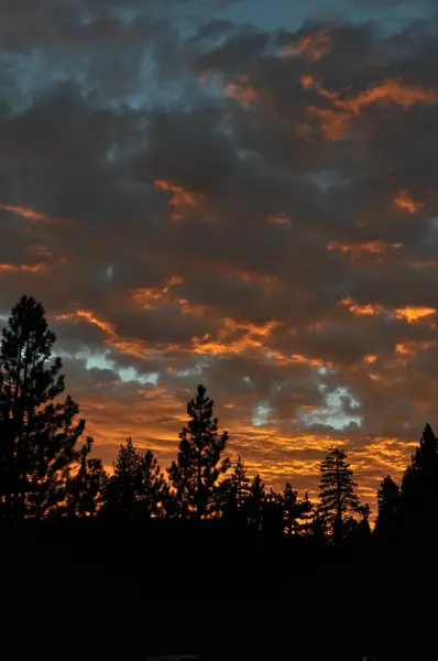 Pôr do sol nas árvores, Lago Tahoe — Fotografia de Stock