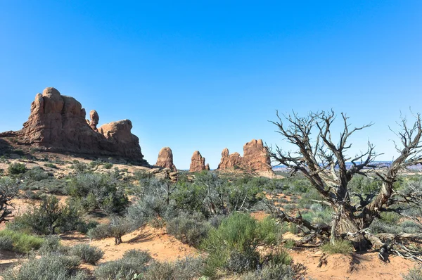 Arches Ulusal Parkı, Utah — Stok fotoğraf