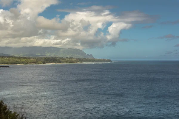 Kilauea Körfezi kıyısında, Kauai, Hawaii — Stok fotoğraf