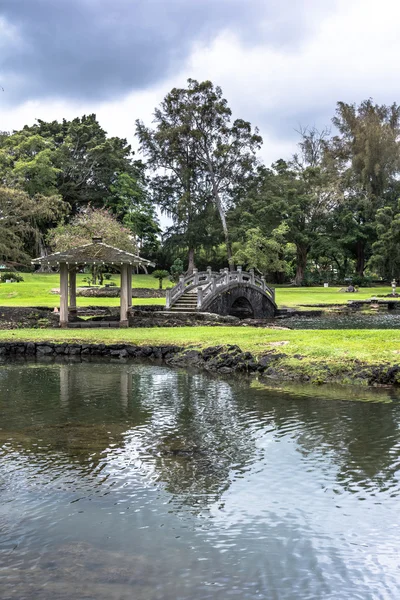 Χίλο κήπο, μεγάλο νησί της Χαβάης — Φωτογραφία Αρχείου