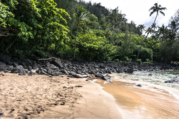카우아이, 하와이에서 모래 해변 — 스톡 사진