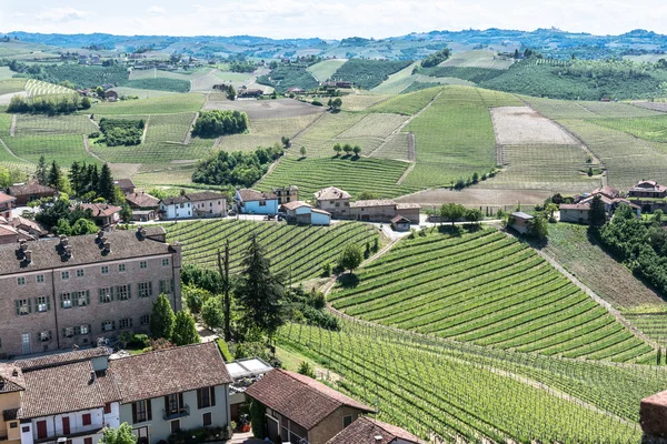 Vignobles et collines dans la zone de Barbaresco, Italie — Photo