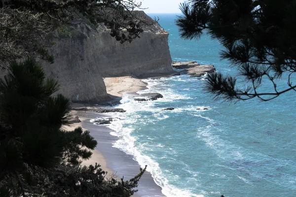 The coast near Santa Cruz, California — Stock Photo, Image