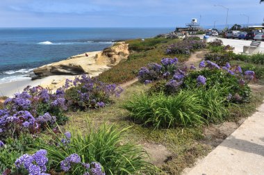 La Jolla, San Diego, Kaliforniya yolda