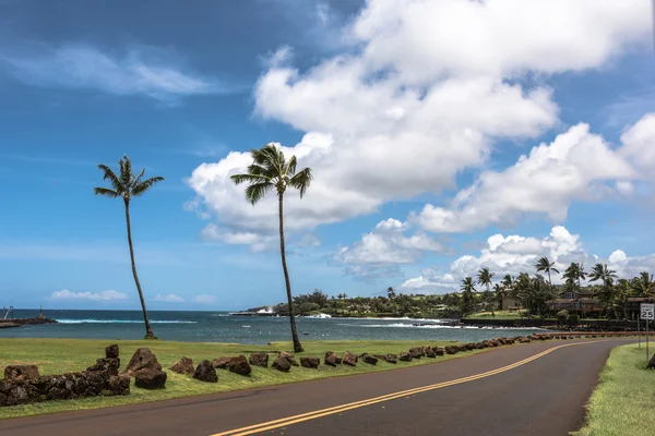 Kusten längs Maui, Hawaii — Stockfoto